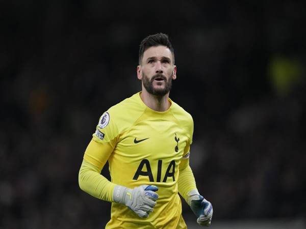 Sự nghiệp bóng đá của thủ môn Hugo Lloris