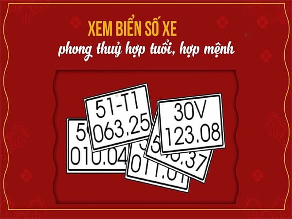 Tại sao phải chọn biển số xe hợp tuổi Nhâm Tuất?