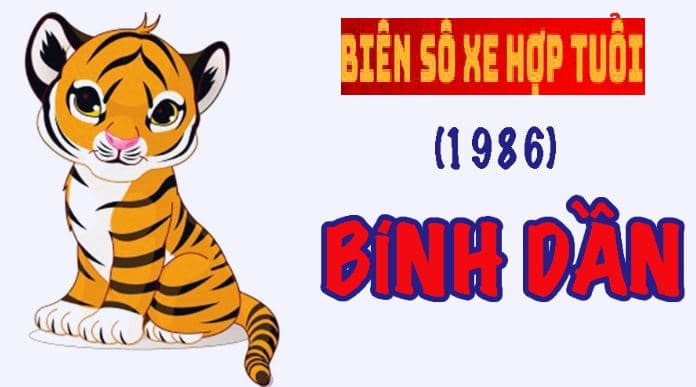 Gợi ý 1 số biển số xe hợp tuổi Bính Dần